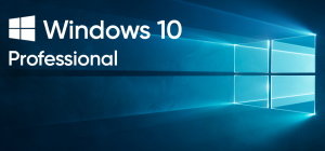 Windows 10 Professional CD Key