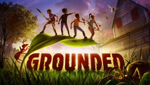 Grounded Grounded